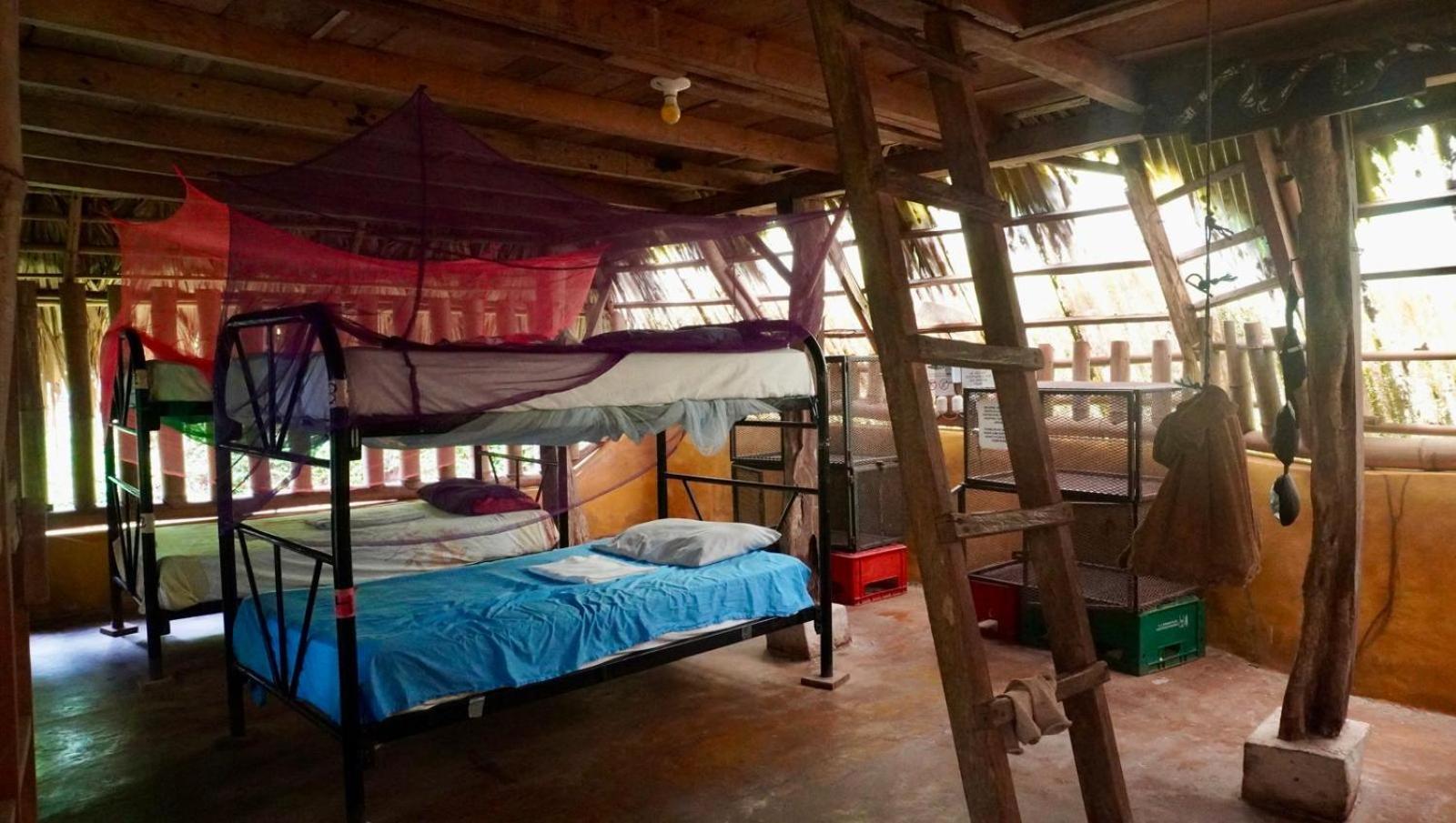 Hostel El Zopilote Balgue Pokoj fotografie